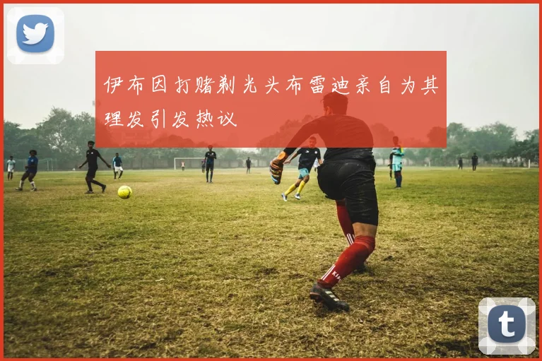伊布因打赌剃光头布雷迪亲自为其理发引发热议